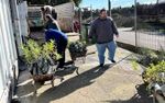Σε εξέλιξη από το περιφερειακό φυτώριο το μεγαλύτερο πρόγραμμα παραδόσεων διαφόρων φυτών και υλικών σε όλο το νότιο Αιγαίο