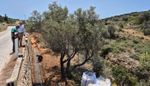 Εργασίες αποκατάστασης λιθοδομών οδικού δικτύου στο Καμάρι Αγκαιριάς