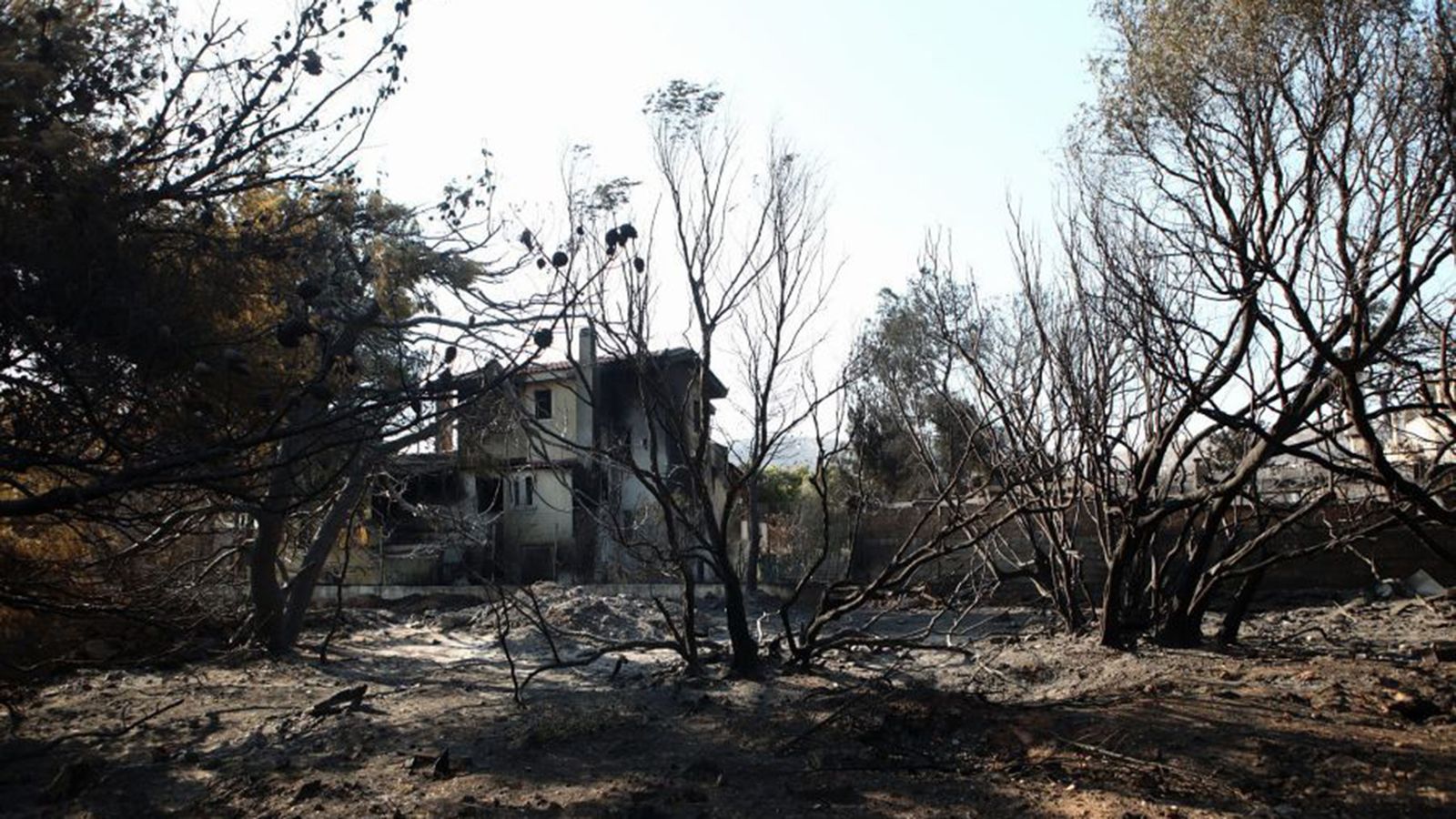 Τα 13 μέτρα στήριξης των πυρόπληκτων