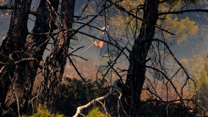 Ακραίος ο κίνδυνος πυρκαγιάς και σήμερα- Σε κατάσταση συναγερμού η χώρα