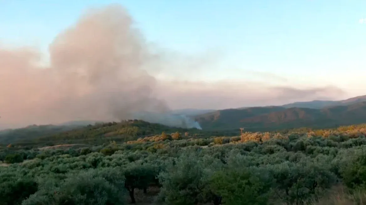 Ρόδος: Καίγεται πυκνό δάσος - H φωτιά ξεκίνησε από παλιό σκουπιδότοπο