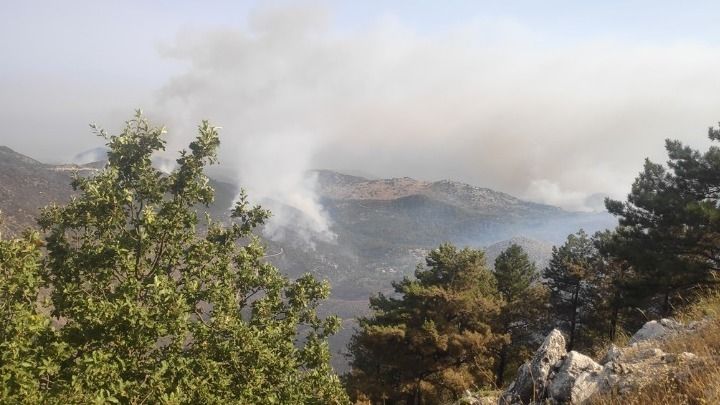 Υψηλός κίνδυνος πυρκαγιών λόγω ισχυρών ανέμων από σήμερα - Έκκληση Κικίλια για ιδιαίτερη προσοχή