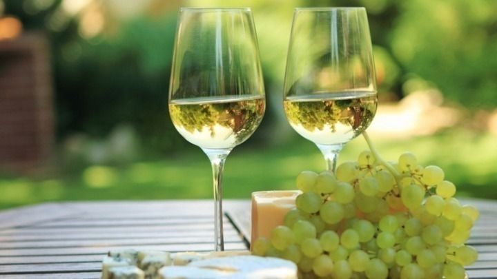 Περονόσπορος, χαλάζι και καύσωνας «χτύπησαν» φέτος τα σταφύλια