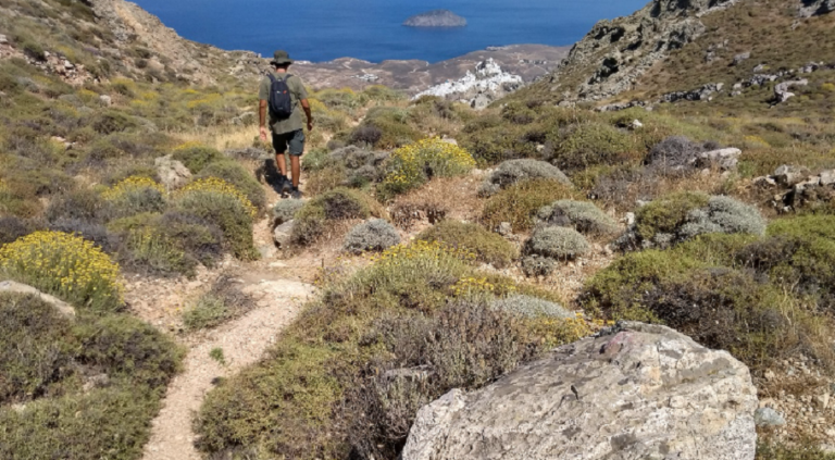 «Ο Θησαυρός της άγνωστης πανίδας της Σερίφου»