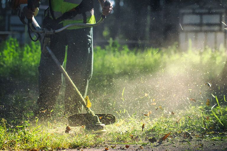 Πότε λήγει η προθεσμία για τον καθαρισμό οικοπέδων