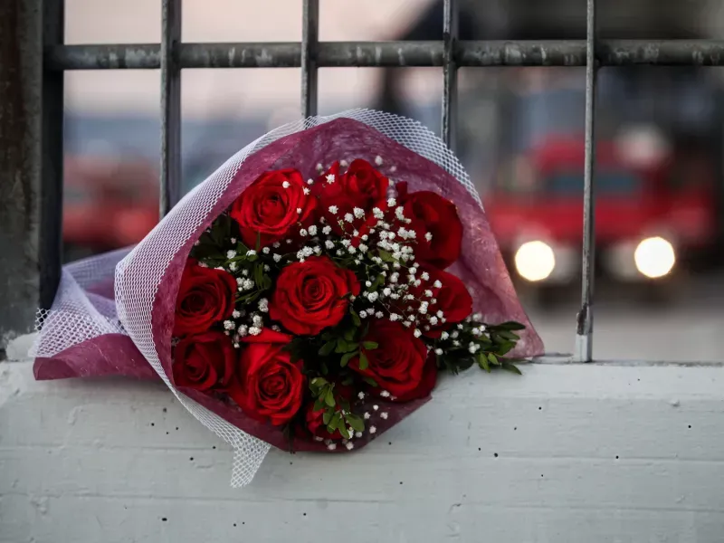 Τρίκαλα: Βαρύτατες κατηγορίες στους 3 συλληφθέντες για τη φονική έκρηξη