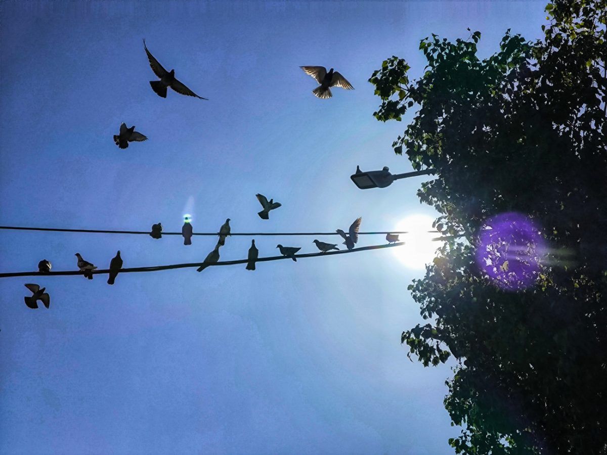 Καιρός: Τι είναι το «ατμοσφαιρικό βουνό» που φέρνει την Άνοιξη και η «ασπίδα» σταθερού καιρού