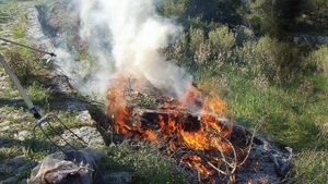 Ισχυρή σύσταση από την Πολιτική Προστασία να αποφεύγεται η καύση κλαδιών από το Σάββατο έως και την Τετάρτη