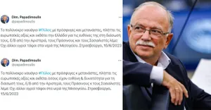 Ανάρτηση - πρόκληση Παπαδημούλη εναντίον της Ελλάδας - Τι έγραψε για το ναυάγιο