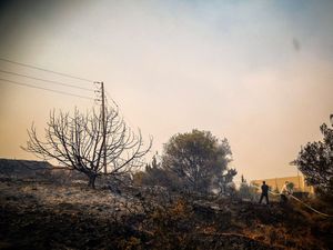 Ρόδος: Οι πέντε λόγοι που επεκτάθηκε η πυρκαγιά – Η εξήγηση του Ευθύμιου Λέκκα