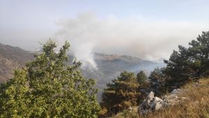 Συνεχίζεται η μάχη με τις φλόγες σε Ρόδο και Κέρκυρα - Διάσπαρτες εστίες σε Κάρυστο και Δερβενάκι