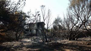 Τα 13 μέτρα στήριξης των πυρόπληκτων