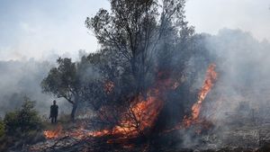Φωτιά στη Ρόδο: Μήνυμα 112 για εκκένωση των χωριών Λάρδο και Πυλώνα