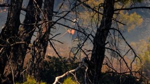 Ακραίος ο κίνδυνος πυρκαγιάς και σήμερα- Σε κατάσταση συναγερμού η χώρα