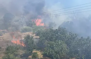 Κεραυνοί προκάλεσαν δύο φωτιές στην Άνδρο - Καίνε χαμηλή βλάστηση