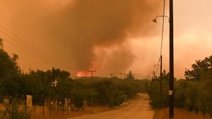 Μηνύματα του 112 για εκκένωση των περιοχών Χαμηλό και Βέλκιο Ροδόπης, Κορφούδι Σαμοθράκης, Ζάλτσα Βοιωτίας