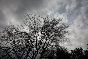 Ζέστη και σήμερα με μικρή εξασθένιση των ανέμων - Πού θα σημειωθούν βροχές