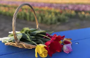 Εορτολόγιο: Ποιοι γιορτάζουν σήμερα 05 Οκτωβρίου