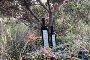 Σπουδαία διάκριση για το βιολογικό ελαιόλαδο Καμάρανθο Πάρου