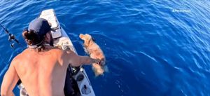 Η συγκλονιστική διάσωση σκύλου μεσοπέλαγα
