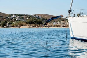 Πάρος: Από τις top επιλογές των φοιτητών για διακοπές