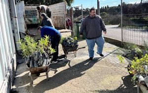 Σε εξέλιξη από το περιφερειακό φυτώριο το μεγαλύτερο πρόγραμμα παραδόσεων διαφόρων φυτών και υλικών σε όλο το νότιο Αιγαίο