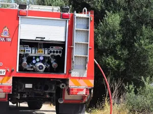 Βελτιωμένη η εικόνα της φωτιάς σε δασική έκταση στον Κινίδαρο Νάξου