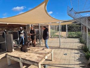 Επίσκεψη Μπιζά στο καταφύγιο αδέσποτων ζώων του PAWS στο Μαράθι και υπογραφή νέας σύμβασης παροχής υπηρεσιών