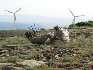 Η αλήθεια για τις ανεμογεννήτριες απέναντι στις γκρίζες ζώνες του λαϊκισμού και της πολιτικής υποκρισίας