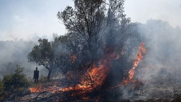 Γεωργιάδης: Επίδομα 534 ευρώ για 3 μήνες στους εργαζόμενους σε πυρόπληκτες επιχειρήσεις