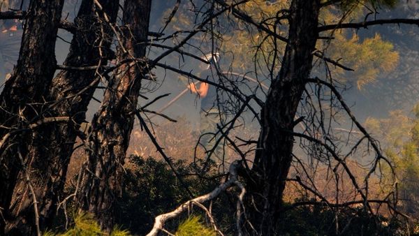 Ακραίος ο κίνδυνος πυρκαγιάς και σήμερα- Σε κατάσταση συναγερμού η χώρα