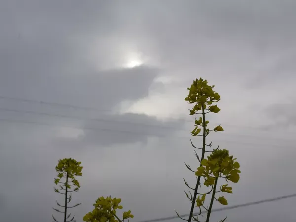 Καιρός: Σε ποιες περιοχές ξεκινούν βροχές και ισχυροί νοτιάδες - Ευνοείται η μεταφορά αφρικανικής σκόνης