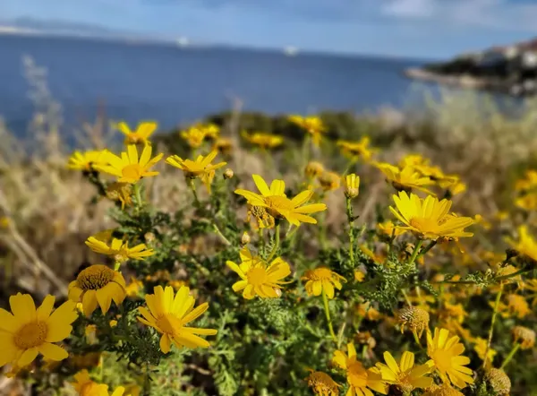 Καιρός: Ανοιξιάτικο σκηνικό με εξαίρεση το νότιο Αιγαίο