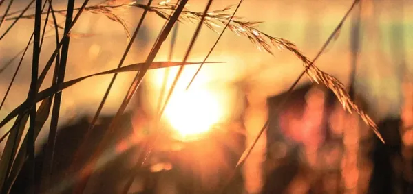 Καιρός: Κορυφώνεται η ζέστη – Έως 39°C τοπικά, επιστρέφουν οι καταιγίδες από την Πέμπτη