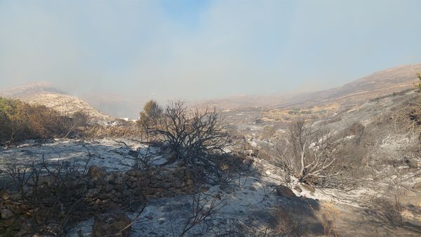 Μπιζάς: «Η αλήθεια για την πύλη του ΧΥΤΑ, η ανεύθυνη στάση της WATT A.E. και η αποκατάσταση των πραγματικών περιστατικών»